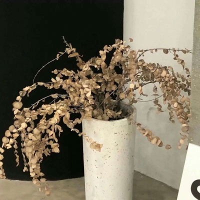 兽设配饰设计灵感兽圈群